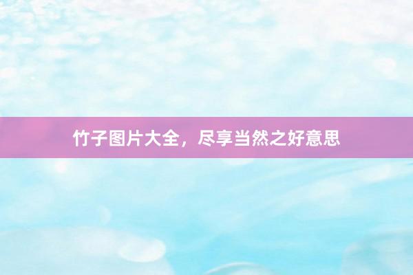 竹子图片大全,尽享当然之好意思